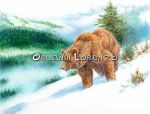 Orso neve